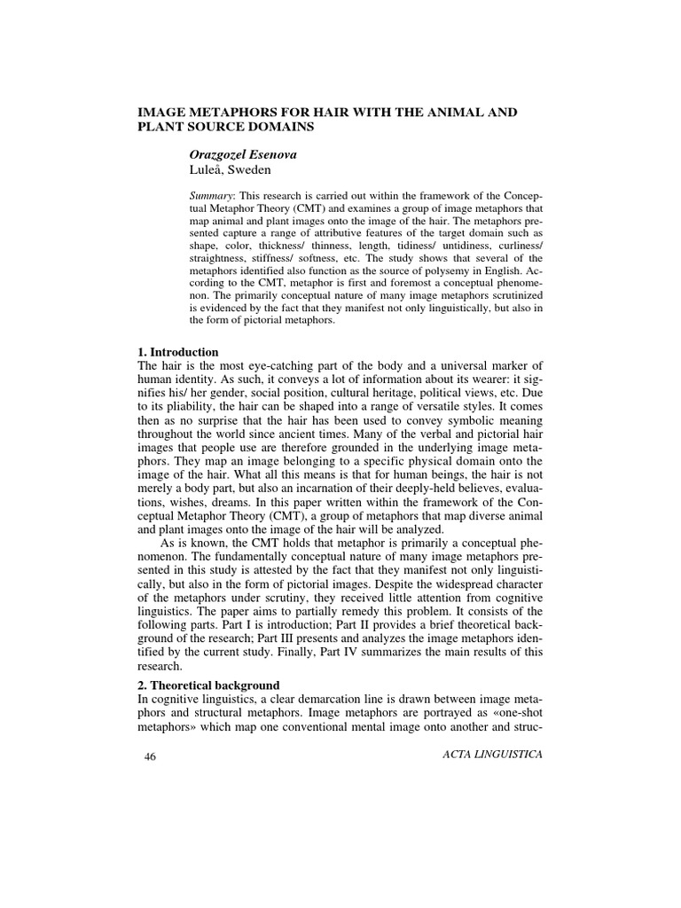 Metaphor Metaphor Hair