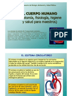 El Cuerpo Humano Circulacion Anatomia Fisiologia Higiene y Salud