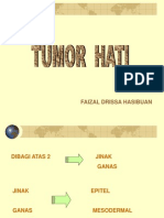 Faizal Drissa Hasibuan