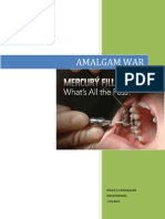 Amalgam War History
