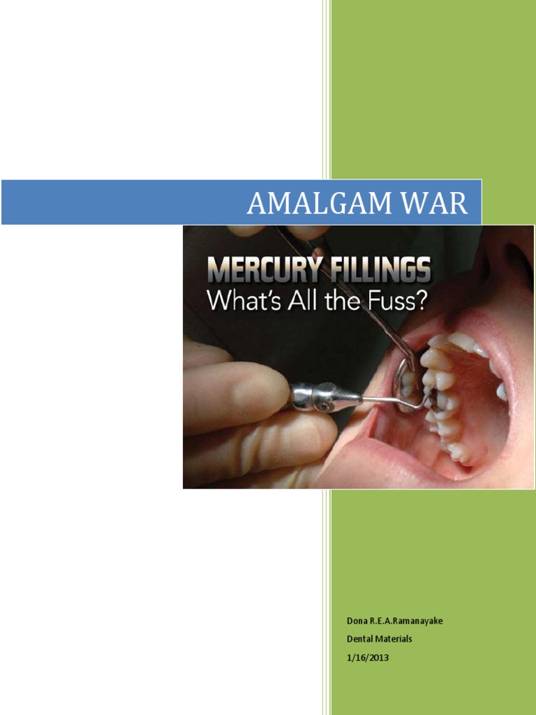 Amalgam War PDF Dentistry Health Sciences