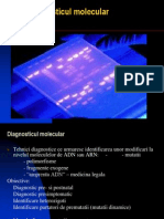 Pcr