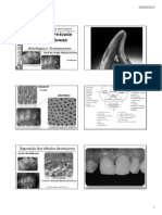 Lesao Cervical Nao Cariosa - 2012
