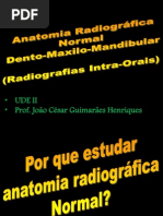 aula anatomia radiográfica joão césar