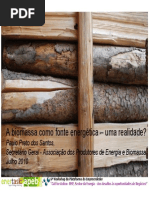 6º Workshop - APEB - Paulo Preto dos Santos