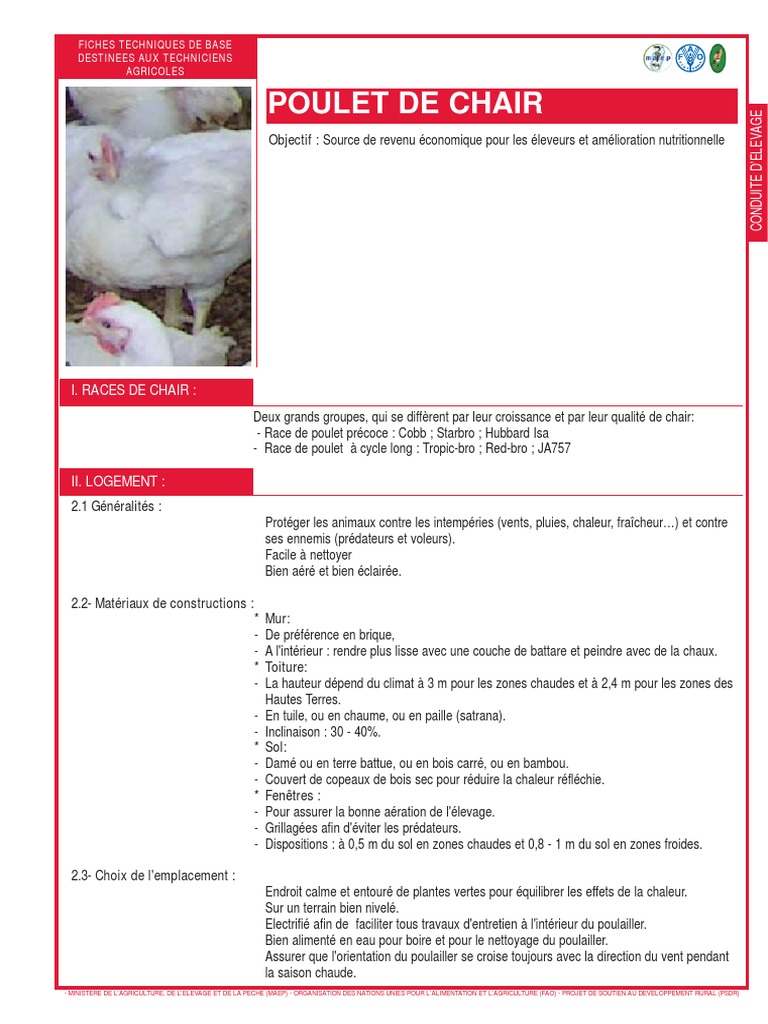 Projet Elevage Poulet De Chair Cameroun Pdf
