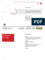 TELA Duplicacao Do Cubo o Experimento