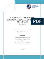 Trabajo Final Microeconomia Avanzada Lugon