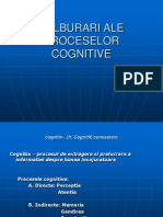 Tulburari Ale Proceselor Cognitive