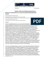 A Phosphate-binding Histidine of Binuclear Metallophosphodiesterase Enzymes Is a Determinant of 2′,3′-Cyclic Nucleotide Phosphodiesterase Activity