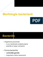 Curs Bacteriologie