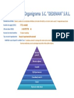 Structura Organizationala (Organigrama) Dedeman Romania