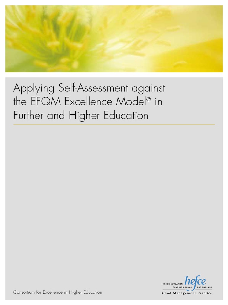 FEM SELF ASSESSMENT intelligence overview