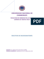 CUESTIONARIO DE NEUROANATOMIA.docx