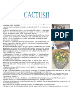 Www.referat.ro CACTUSII2202ff53