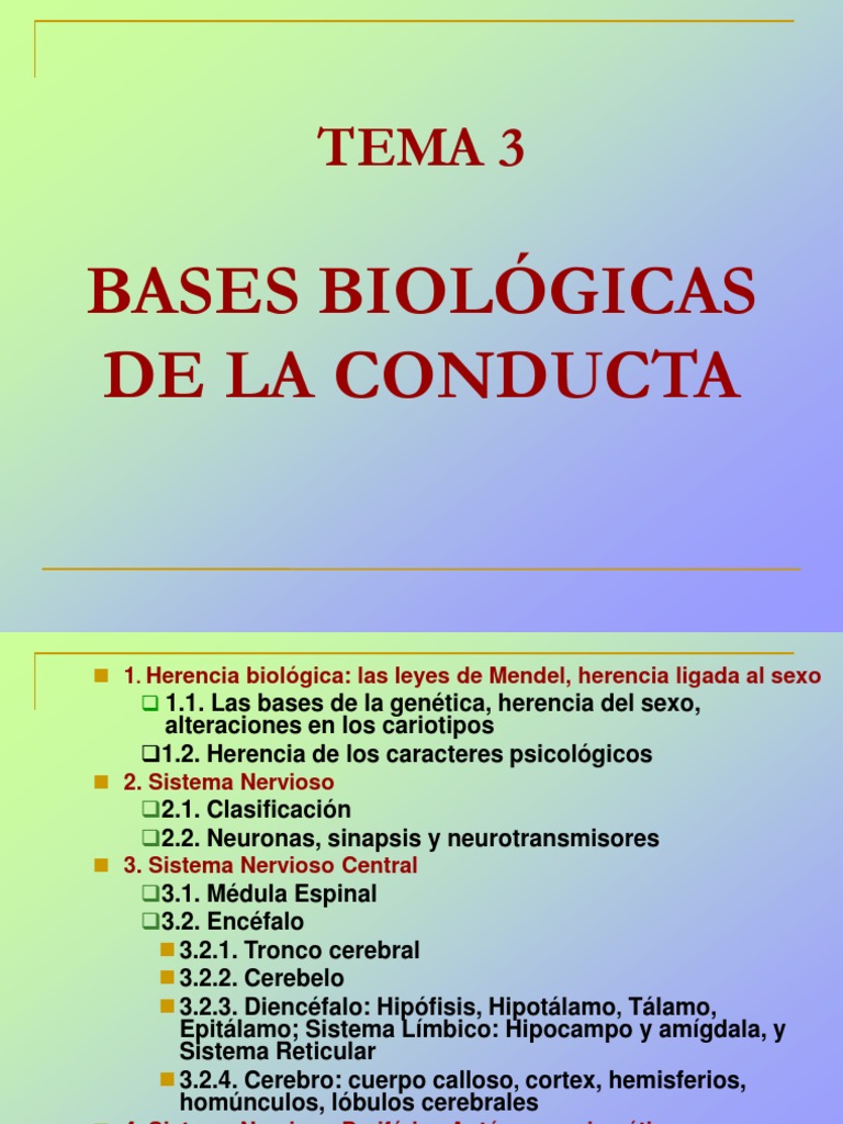 Bases Biologicas de La Conducta[1] (1)