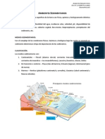 Ambientes Sedimentarios GEOMORFOLOGÍA PDF