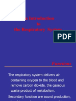 01.an Introduction to the Respiratory System