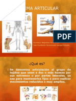 Sistema articular: tipos y funciones