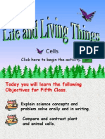 Cells: Click Here To Begin The Activity