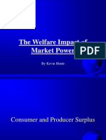 Welfare Effects of Market Power