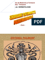 Sindroame Cutanate Polietiologice - Curs (Ep+Vsc)