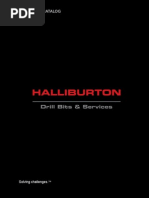 DBS_V2 Halliburton