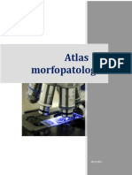 Atlas de Morfopatologie