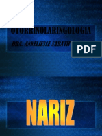 nariz-120401003005-phpapp02