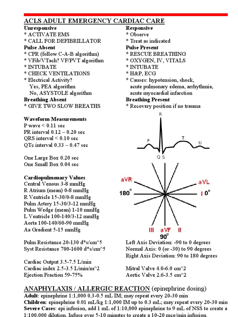 Quick Medical Pocket Reference PDF Renal Function Medical Specialties