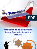 Patologías de las Estructuras (Prof. Antonio Amundaray).pptx