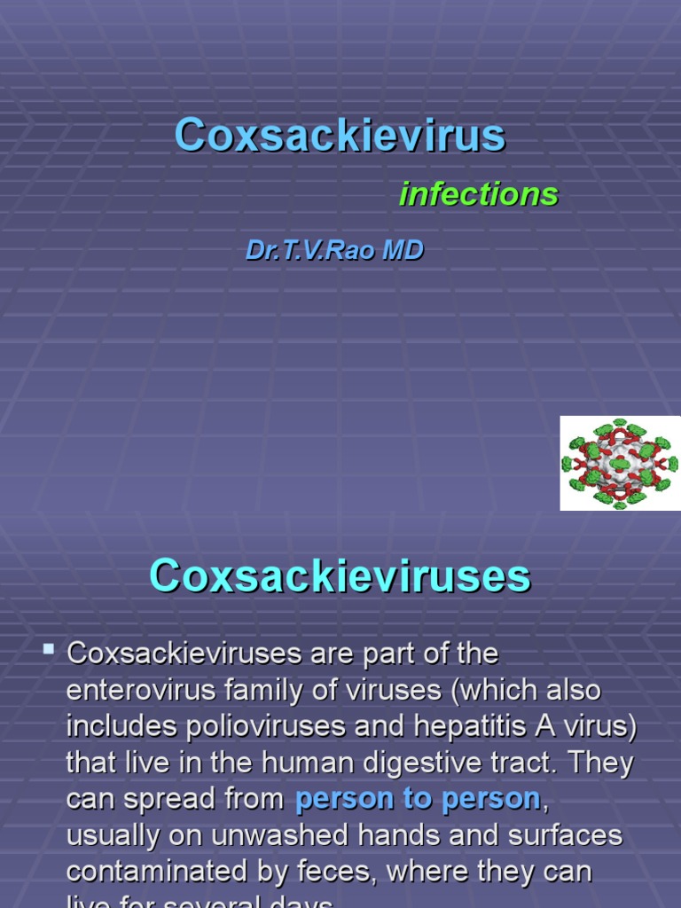 Coxsackievirus Microbiology Public Health