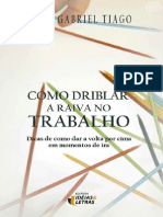 Como Driblar A Raiva No Trabalho - Luiz Gabriel Tiago