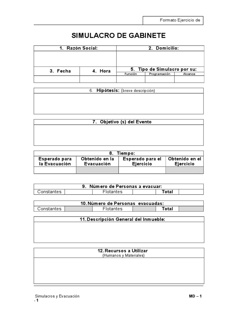 Simulacro de Gabinete Formato