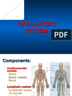 Sept 24 Circulatory System09 Students