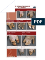Guia para La Calificacion de Lesiones