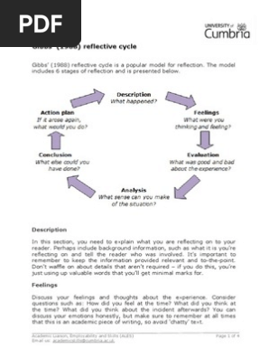 Reflective Cycle Gibbs