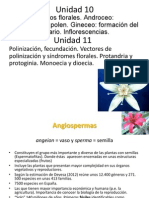 Unidad 10y11 Angisopermas Flor y Polinización