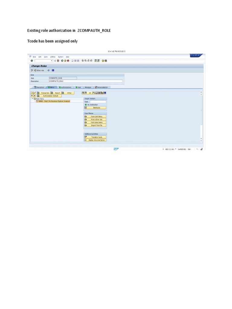 Existing Role Authorization in ZCOMPAUTH | PDF