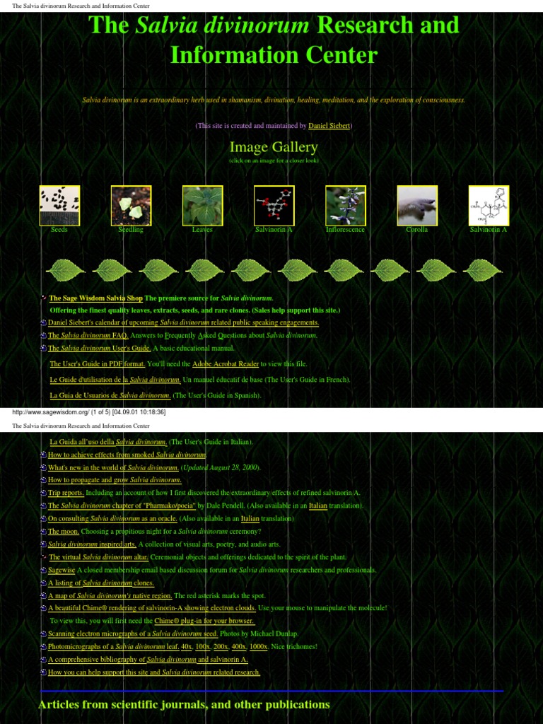 Giochi Da Tavola Di Societ E Accessori Tarocchi A Yogic Path Oracle 