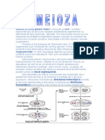 Meioza