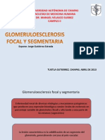 Glomeruloesclerosis Focal y Segmentaria