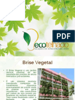 Brise Vegetal