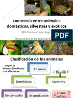 Charlene Lujan-Diferencia Entre Animales Domesticos Silvestres y Exoticos