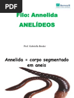 Anelídeos - anatomia e classificação