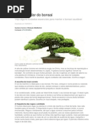 Como Cuidar Do Bonsai
