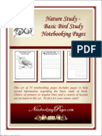 All About Birds - Basic Bird Study Notebooking Pages
