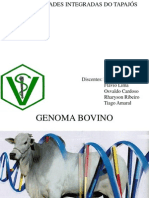 Genoma Bovino