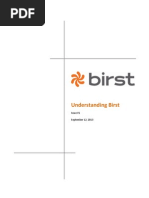 Understanding Birst Issue 1