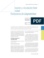 5-15 Respiracion y Circulacion Fetal